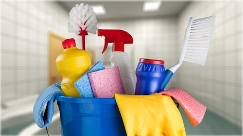 Professional stain removal in Wood Green on carpeted flooring