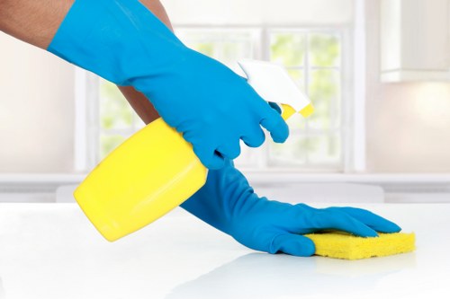 Carpet cleaning service terms and conditions introduction