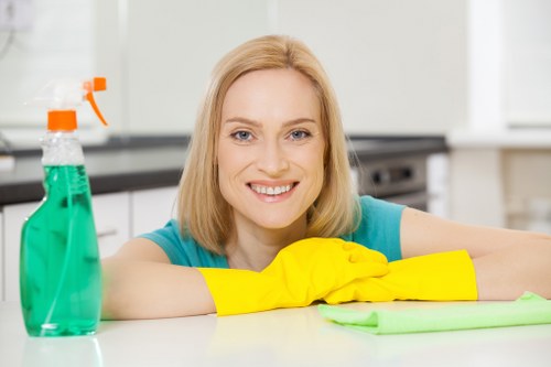 Professional hot water extraction cleaning a carpet