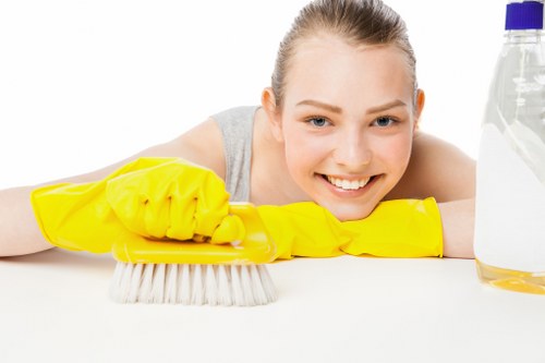 Wood Green carpet cleaners introducing professional local carpet care