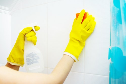 Deep cleaning carpet affected by pet smells in Wood Green