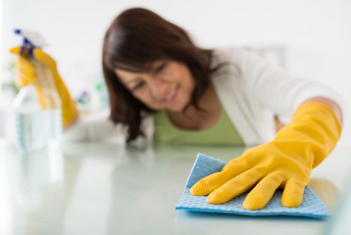 SSL encrypted payment process for Wood Green Carpet Cleaners customers