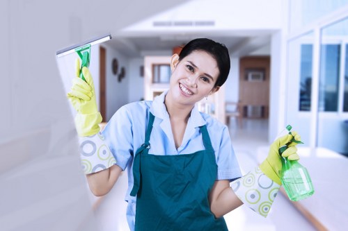 Stain removal and deep carpet cleaning in Wood Green